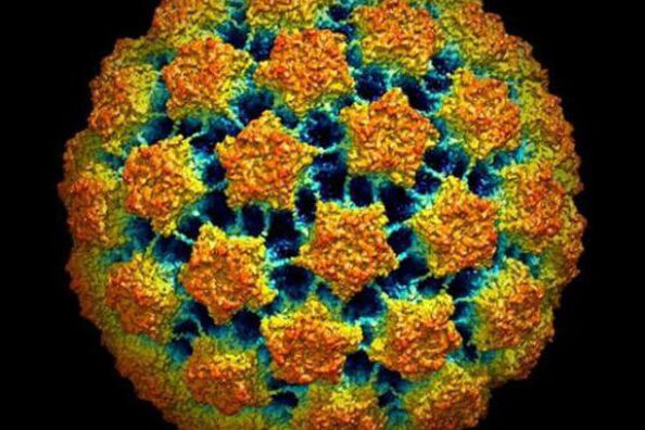 Žmogaus papilomos viruso diagnozavimo metodai